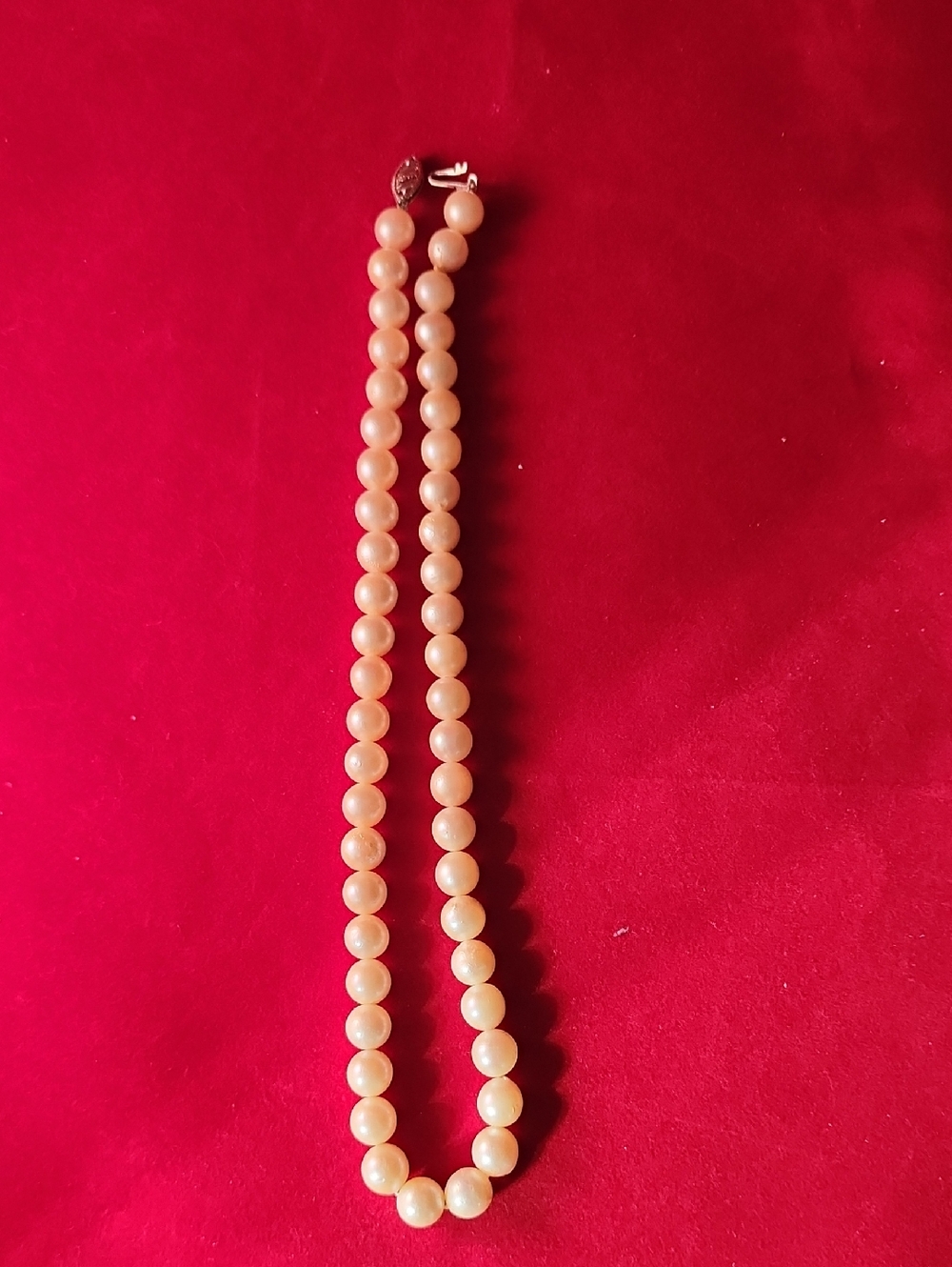 Classic Cream Pearl Necklace - Unbranded